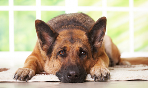 Weru secur – das intelligente Überwachungssystem Ihr persönlicher Sicherheitsbeauftragter: Ihr Fenster